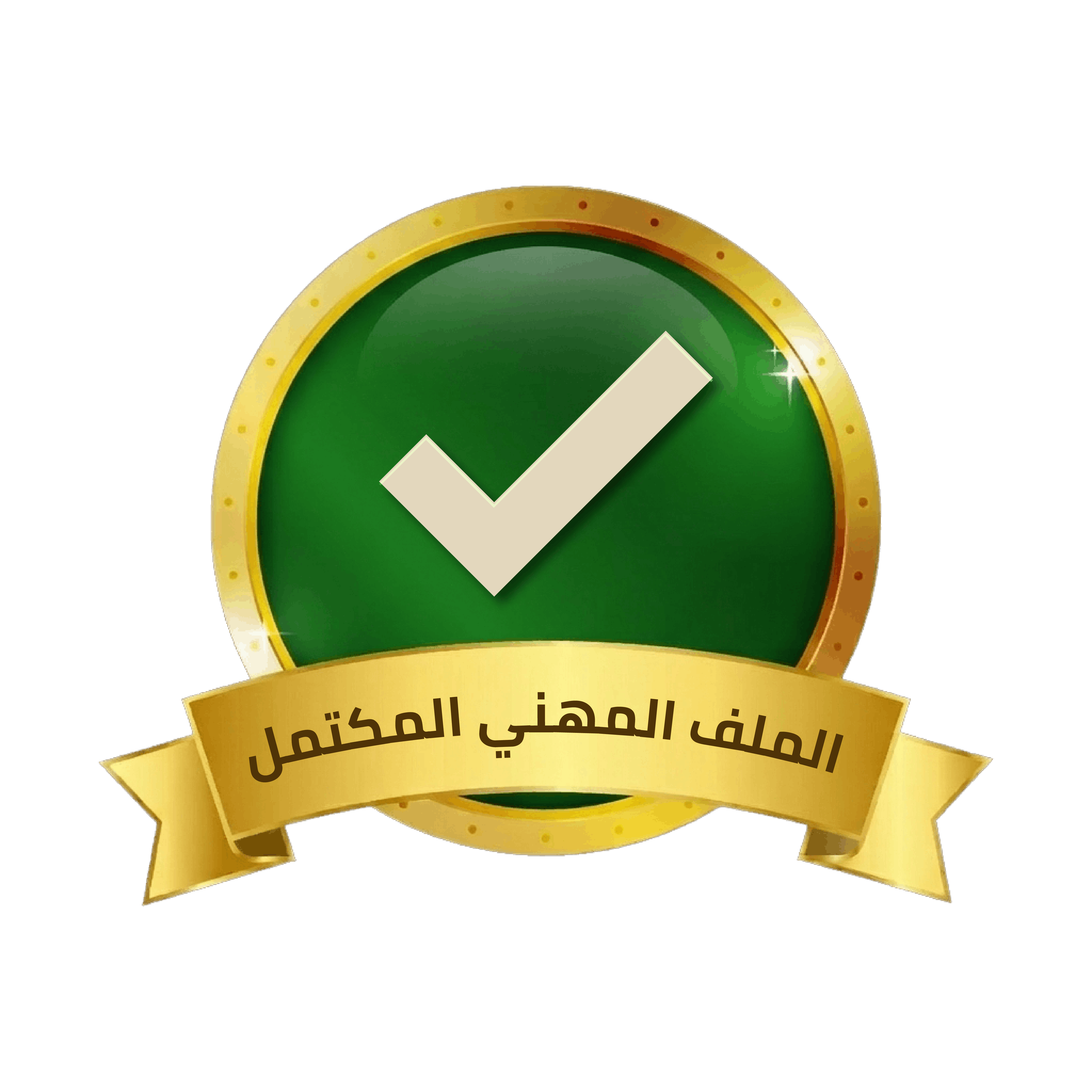 الملف المهني المكتمل